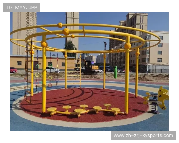 经济实惠的健身器材有哪些及体育训练适用